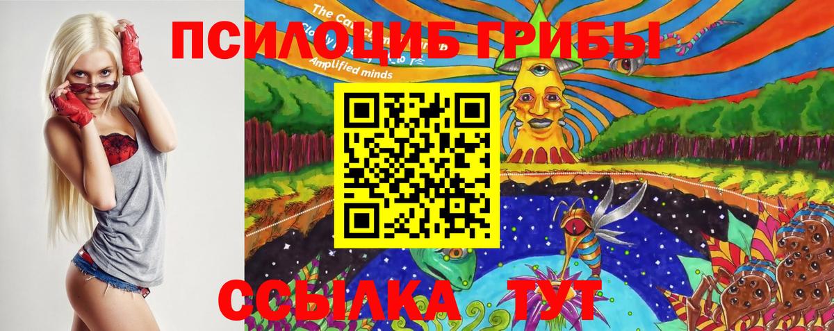 Галлюциногенные грибы Psilocybine cubensis Юрга