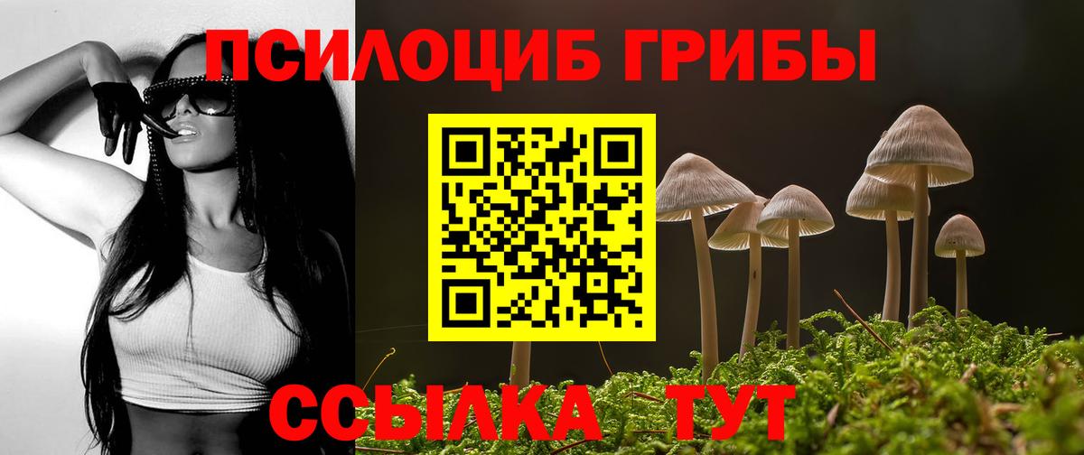 Псилоцибиновые грибы Cubensis  даркнет сайт  Юрга  Вход с VPN 